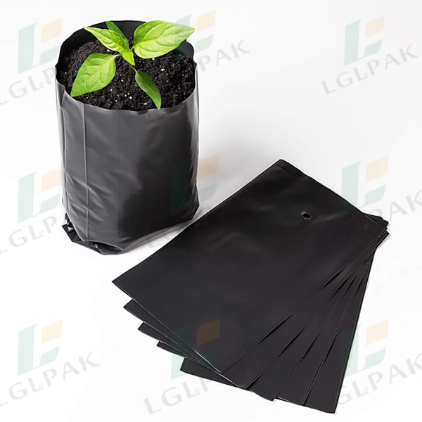 China Plastic Punching Planting Bag Manufacturer and Supplier